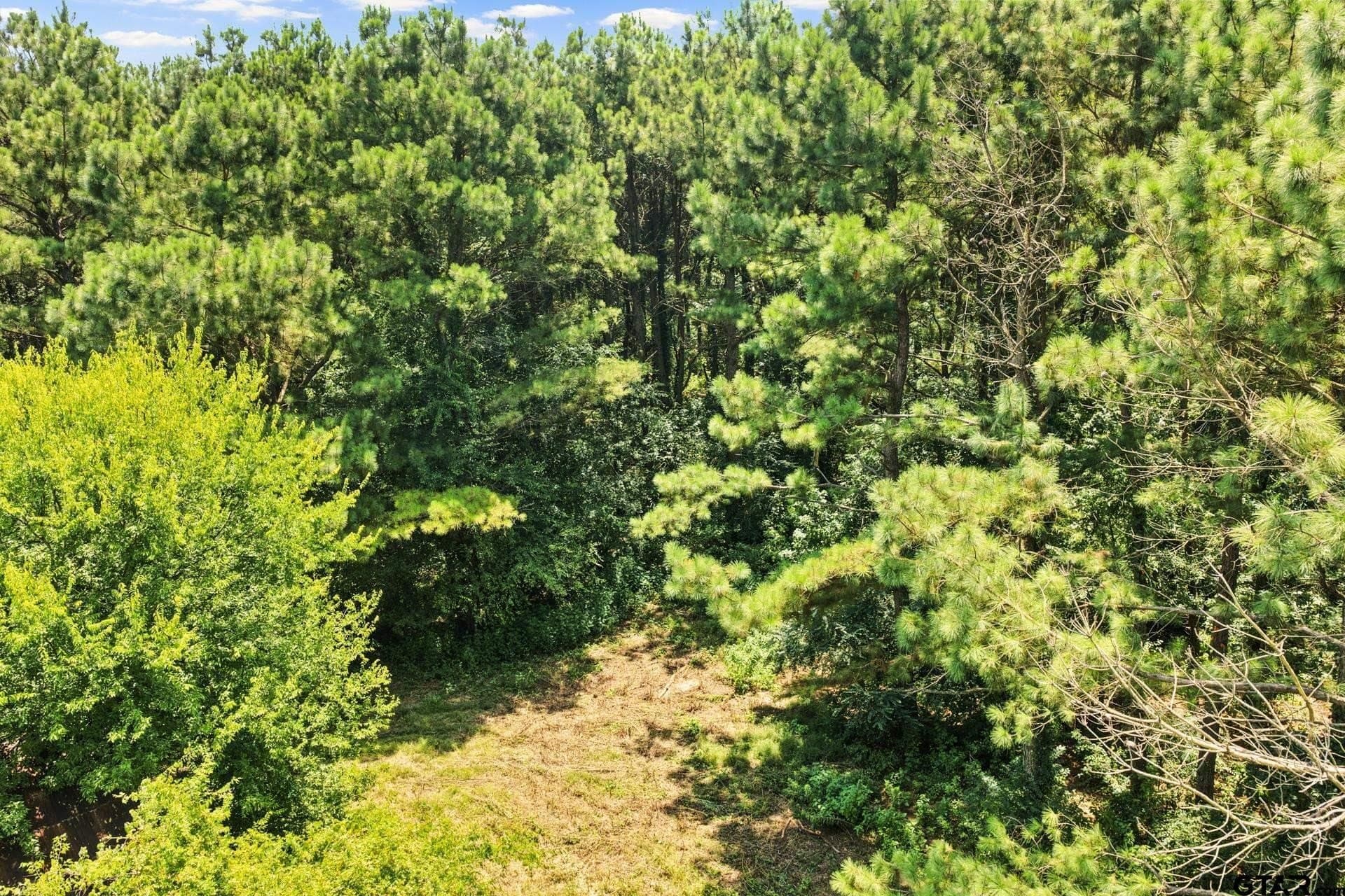 61 acres in Bowie County - photo 12