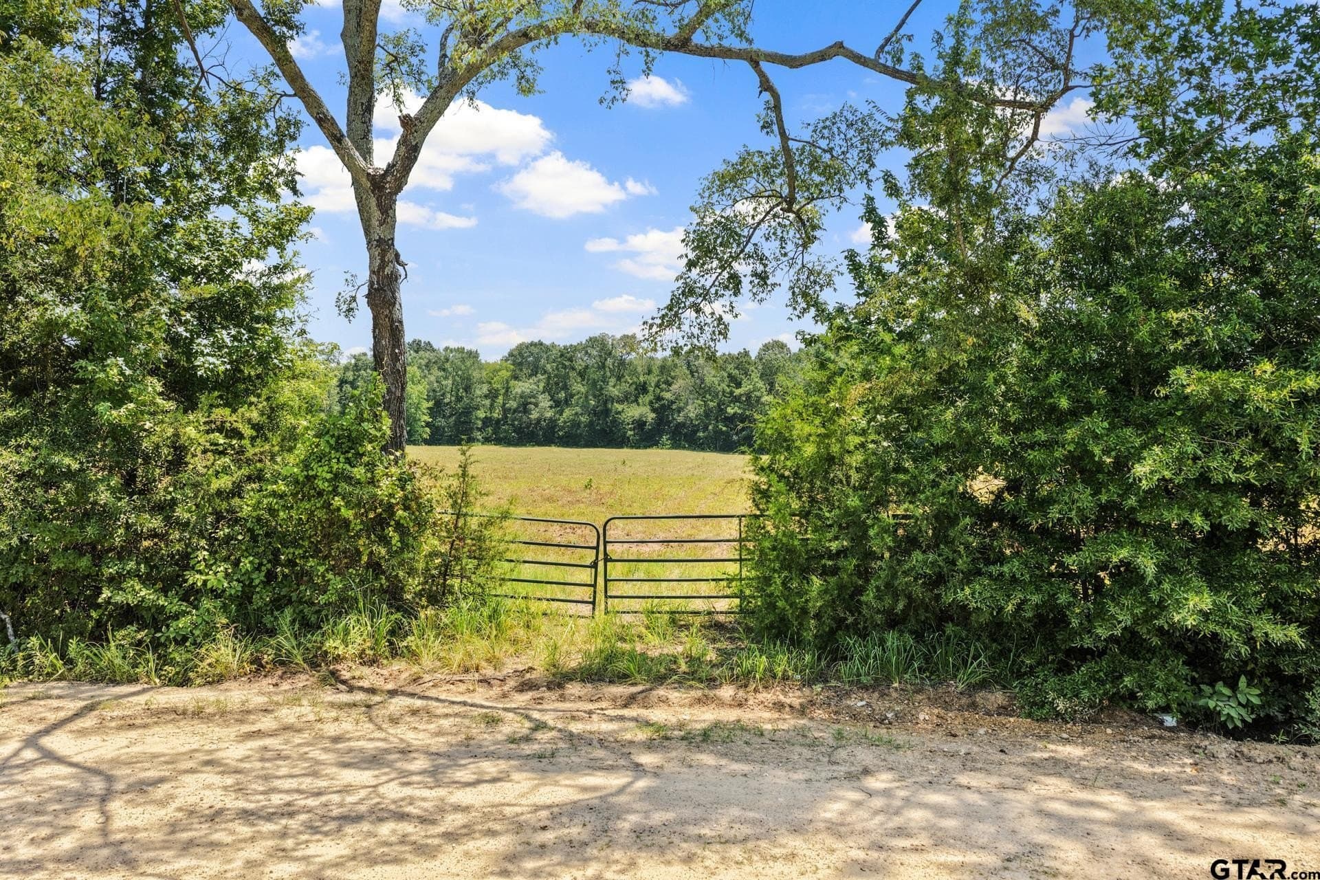 61 acres in Bowie County - photo 4