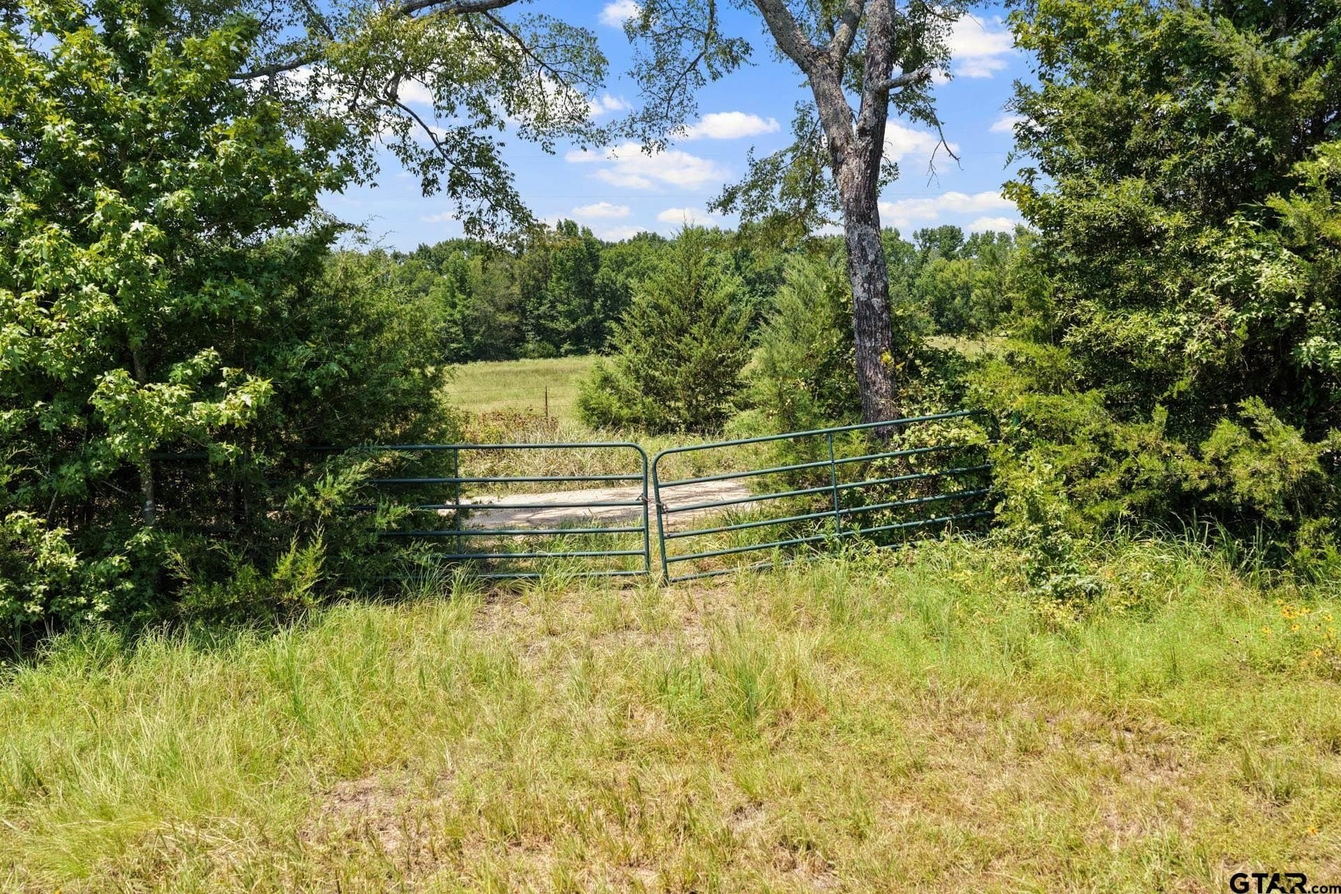 61 acres in Bowie County - photo 8