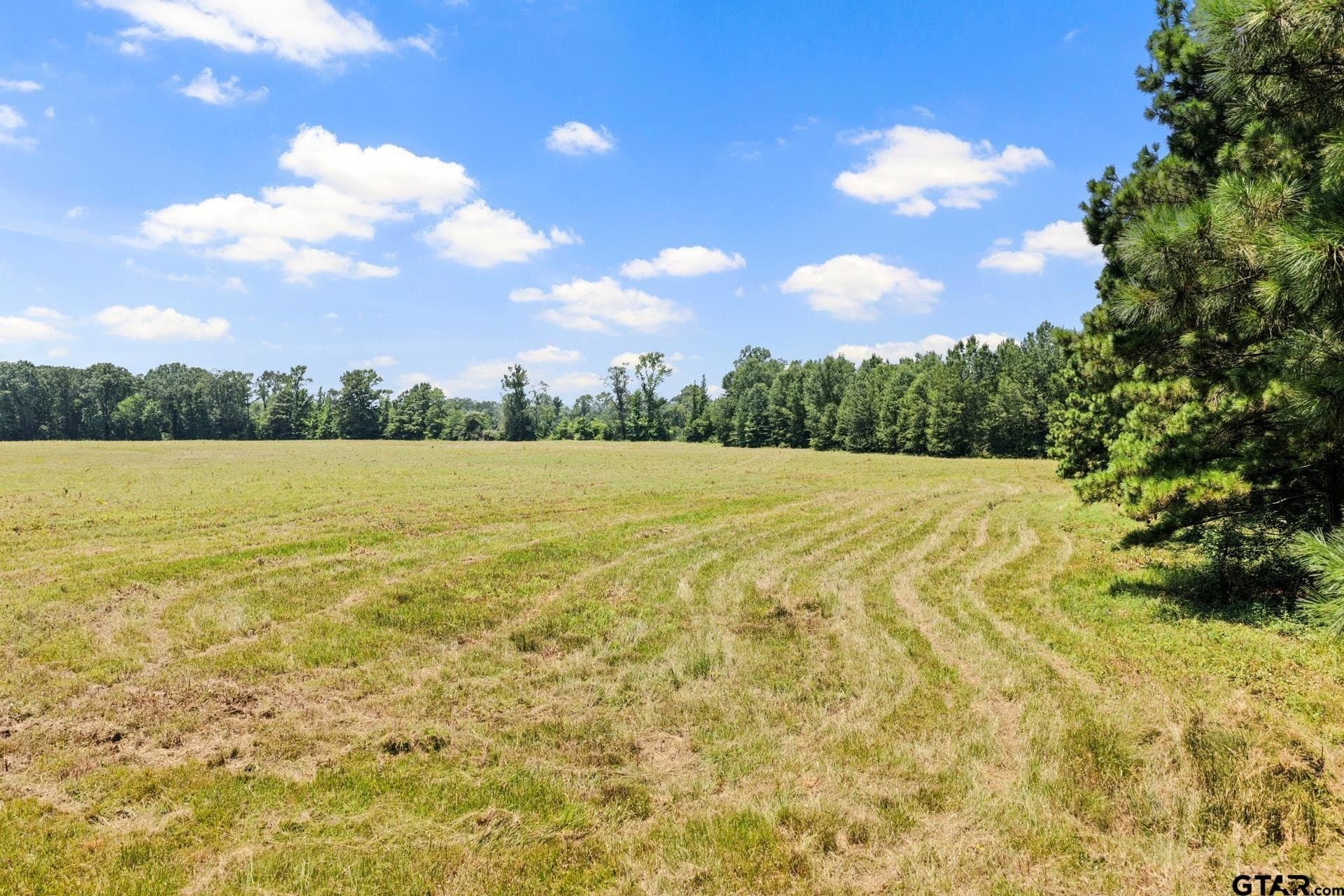 61 acres in Bowie County - photo 25