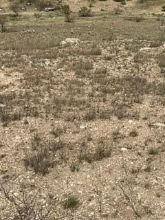 0 acres in Potter County - photo 10
