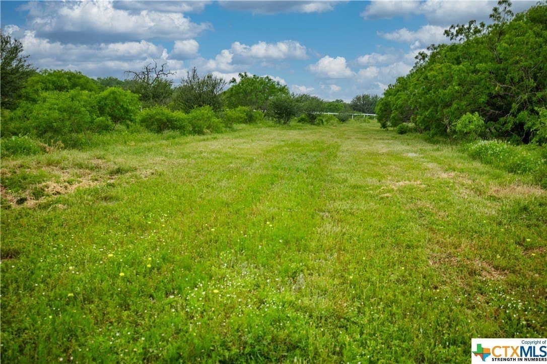 79.37 acres in Bexar County - photo 40
