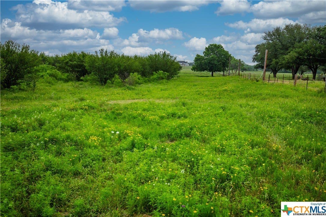 79.37 acres in Bexar County - photo 35