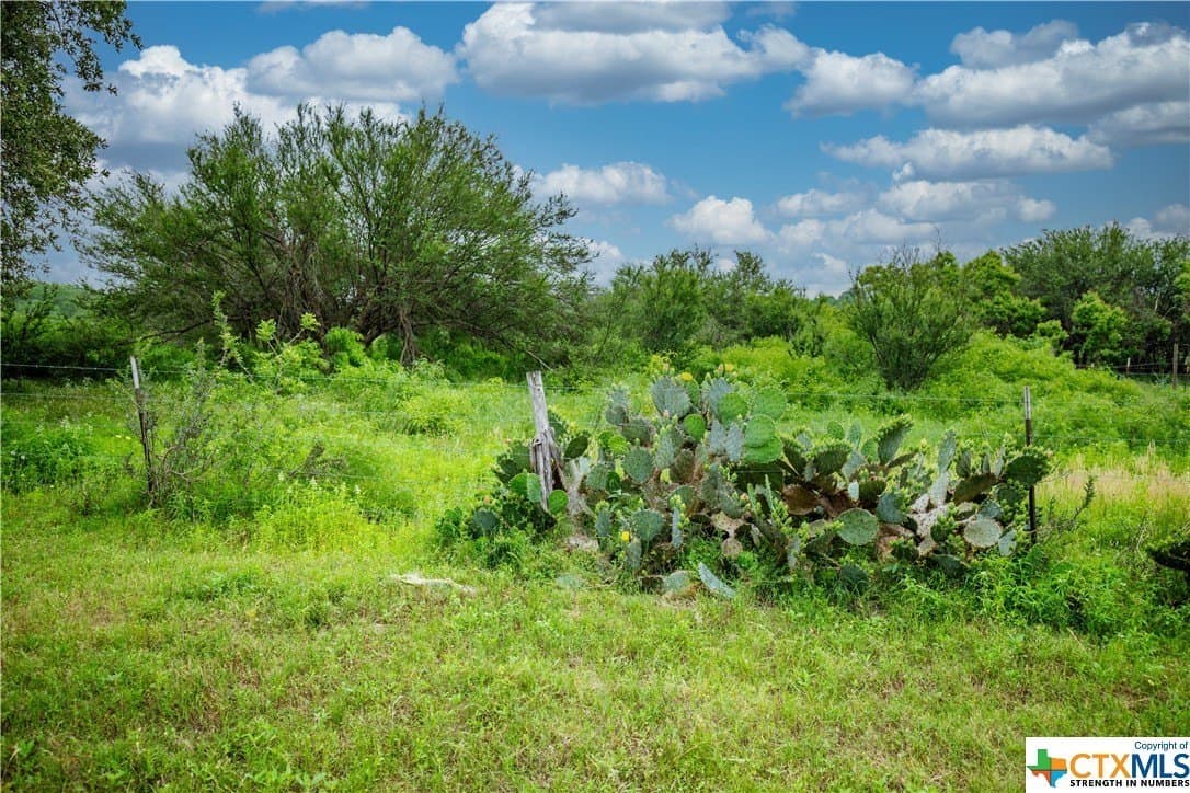 79.37 acres in Bexar County - photo 15
