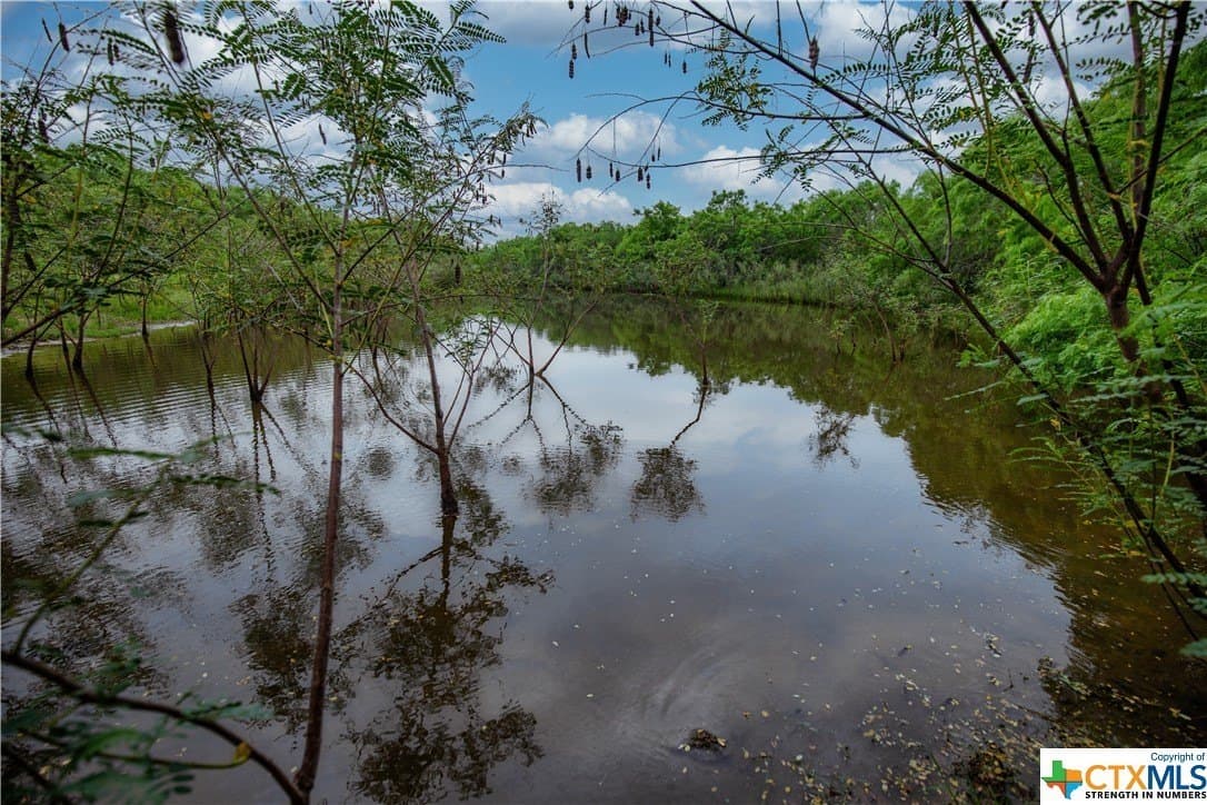 79.37 acres in Bexar County - photo 44