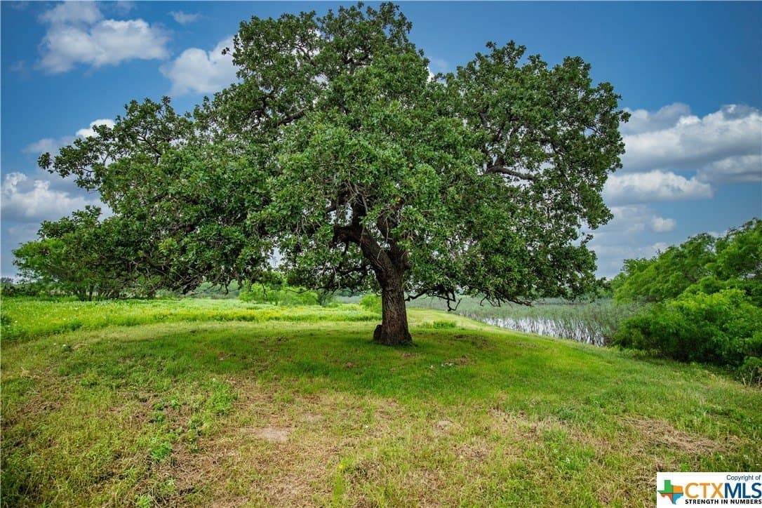 79.37 acres in Bexar County - photo 29