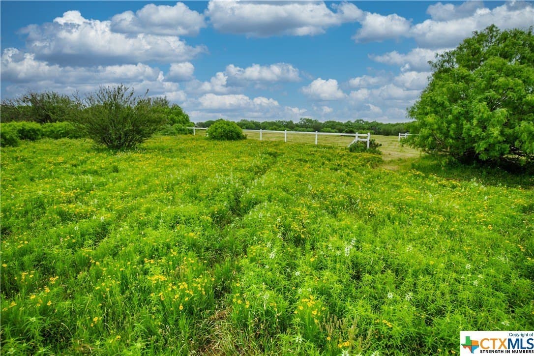 79.37 acres in Bexar County - photo 21