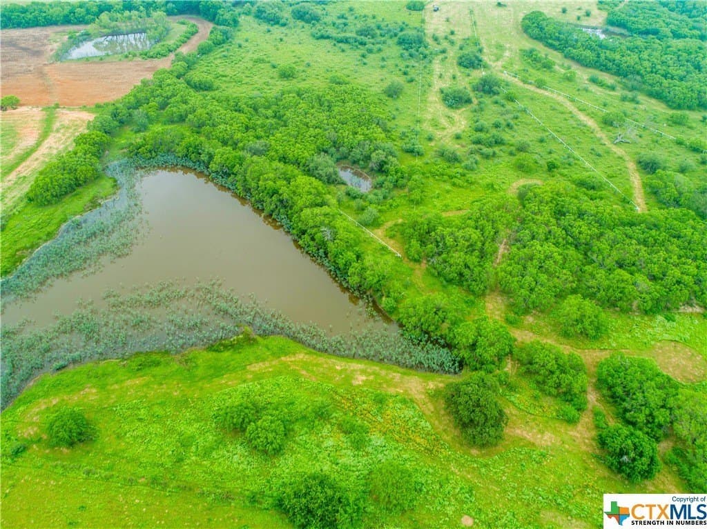 79.37 acres in Bexar County gallery image 4