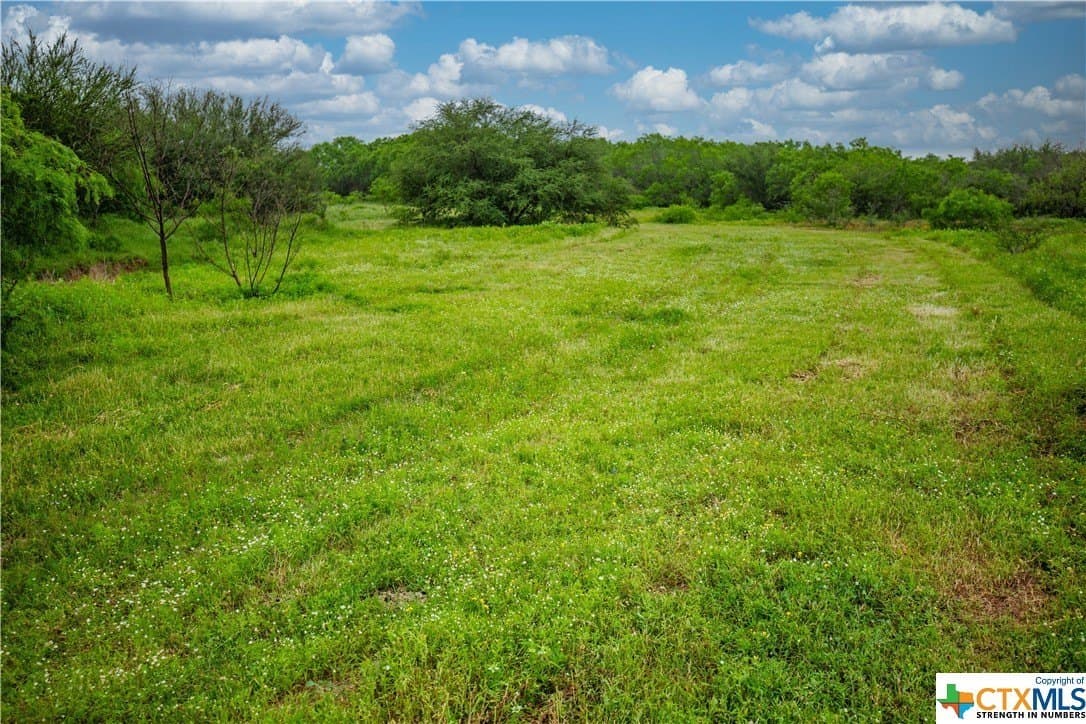 79.37 acres in Bexar County - photo 39
