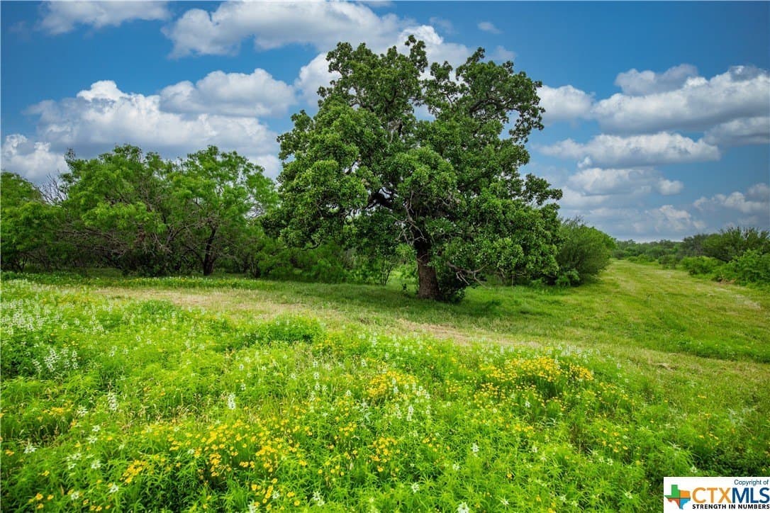 79.37 acres in Bexar County - photo 36