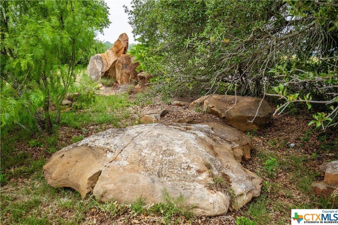 79.37 acres in Bexar County - photo 13