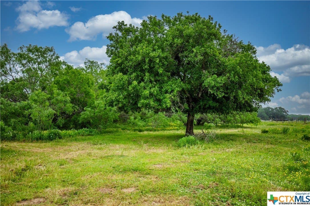 79.37 acres in Bexar County - photo 33