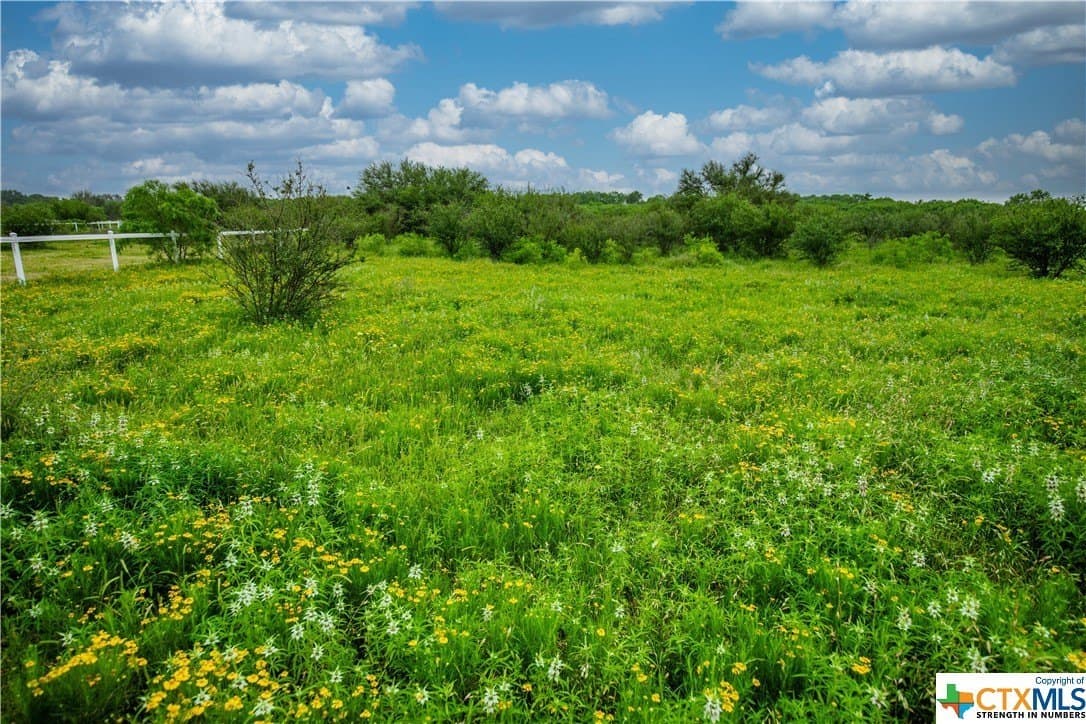 79.37 acres in Bexar County - photo 20