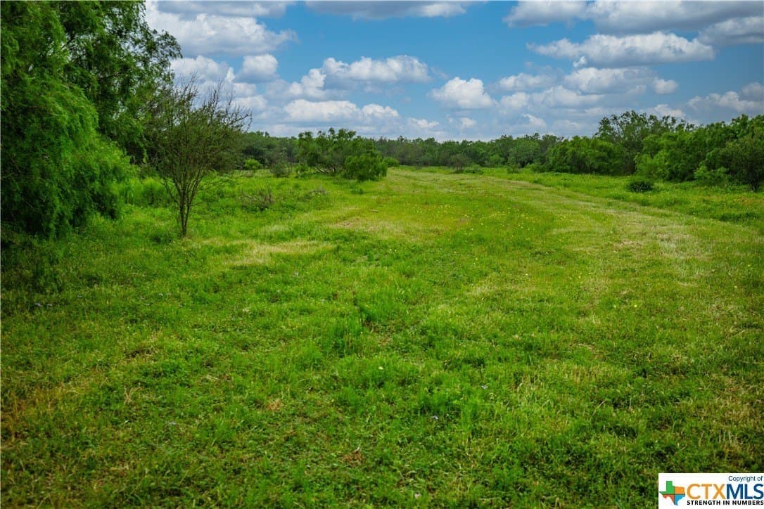 79.37 acres in Bexar County - photo 38