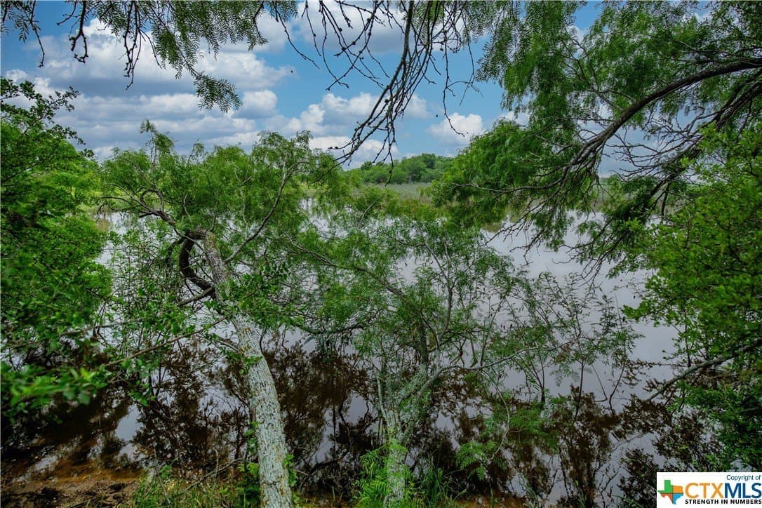79.37 acres in Bexar County - photo 27
