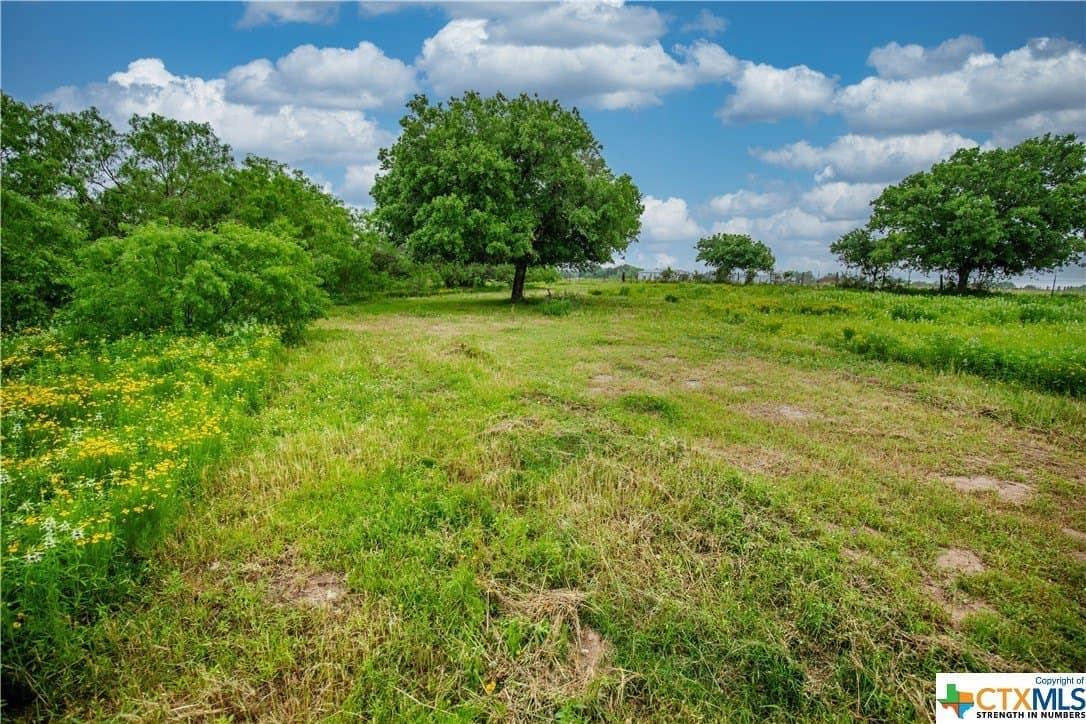 79.37 acres in Bexar County - photo 28