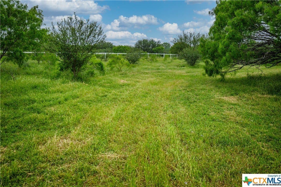 79.37 acres in Bexar County - photo 41