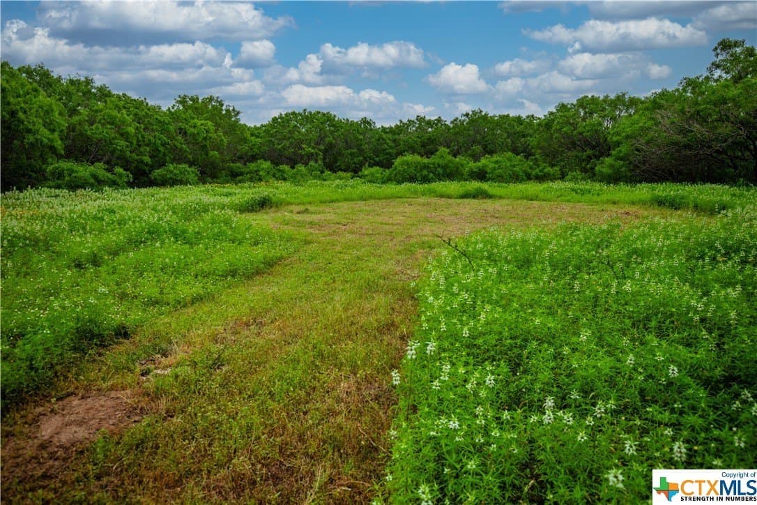 79.37 acres in Bexar County - photo 34