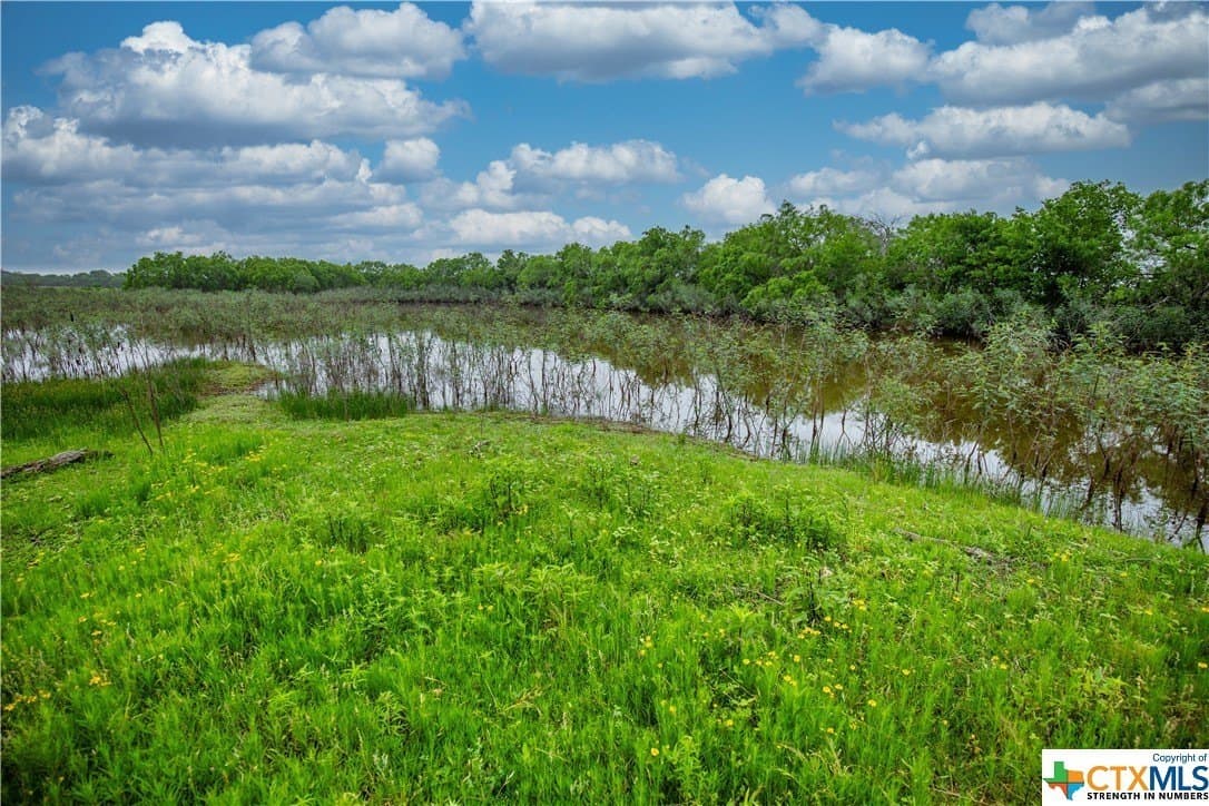 79.37 acres in Bexar County - photo 32