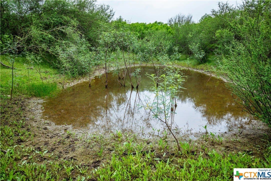 79.37 acres in Bexar County - photo 26
