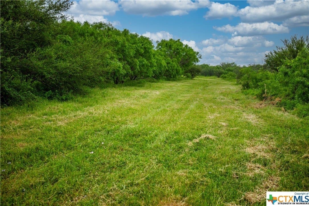 79.37 acres in Bexar County - photo 37