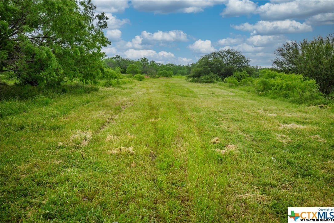 79.37 acres in Bexar County - photo 42