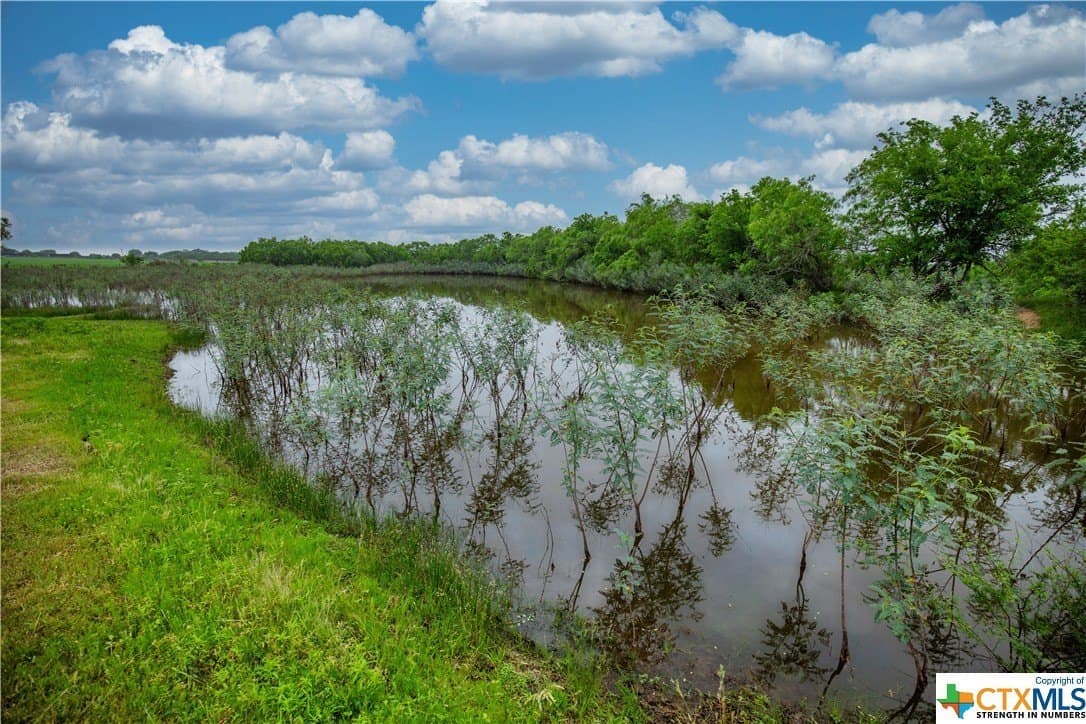 79.37 acres in Bexar County - photo 31