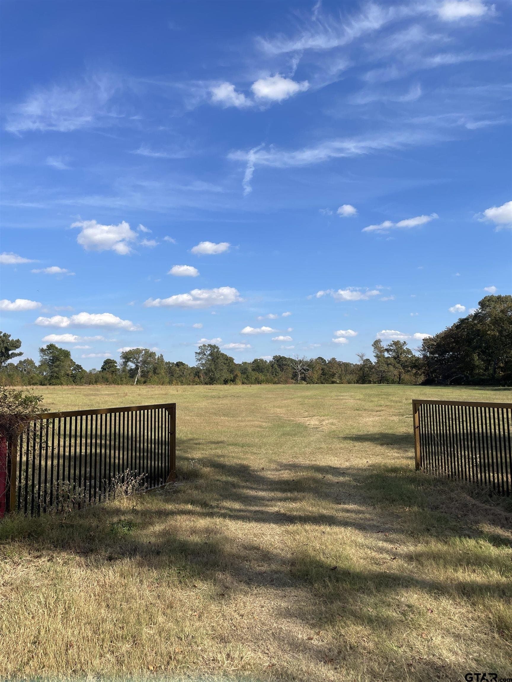 23.12 acres in Camp County gallery image 3