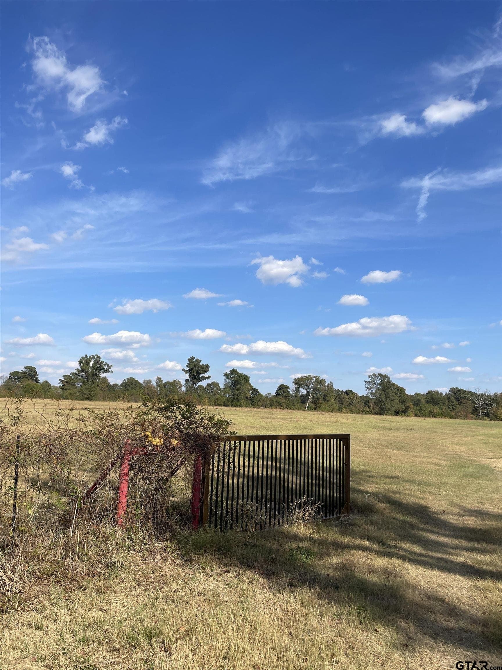 23.12 acres in Camp County gallery image 2