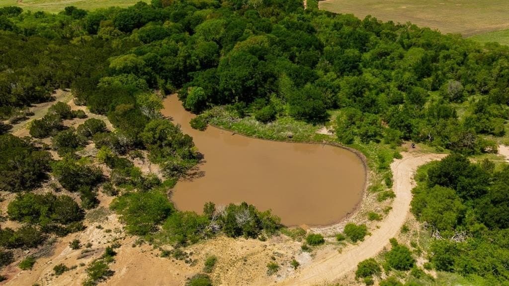 775 acres in Coleman County gallery image 2