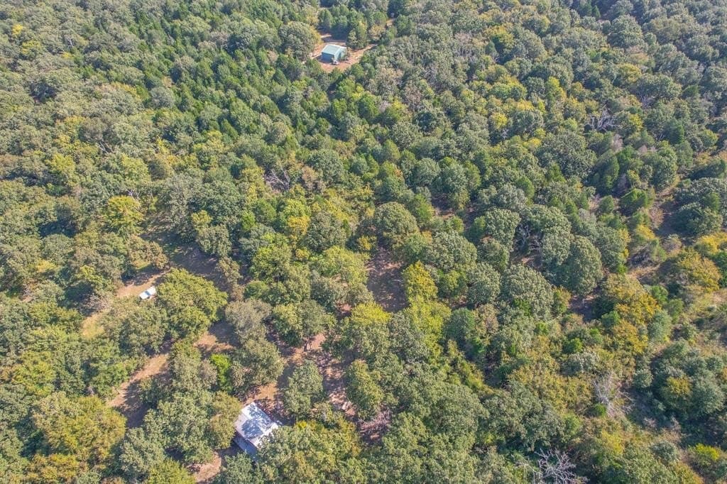 60 acres in Henderson County gallery image 2