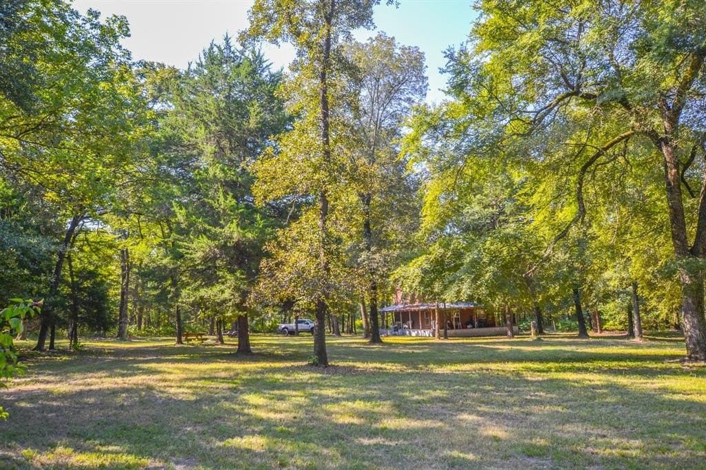 60 acres in Henderson County gallery image 3