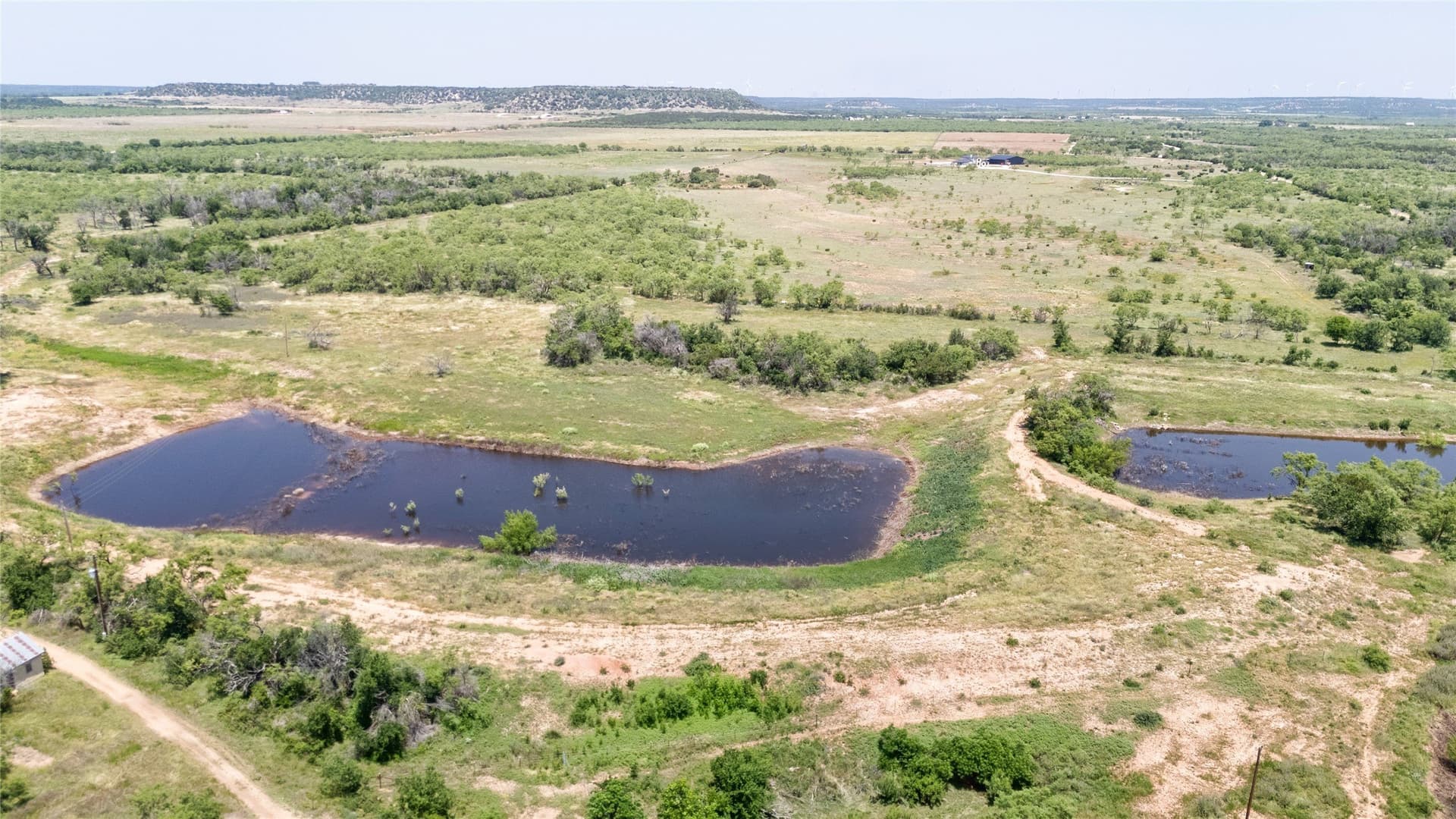 106.15 acres in Taylor County gallery image 4