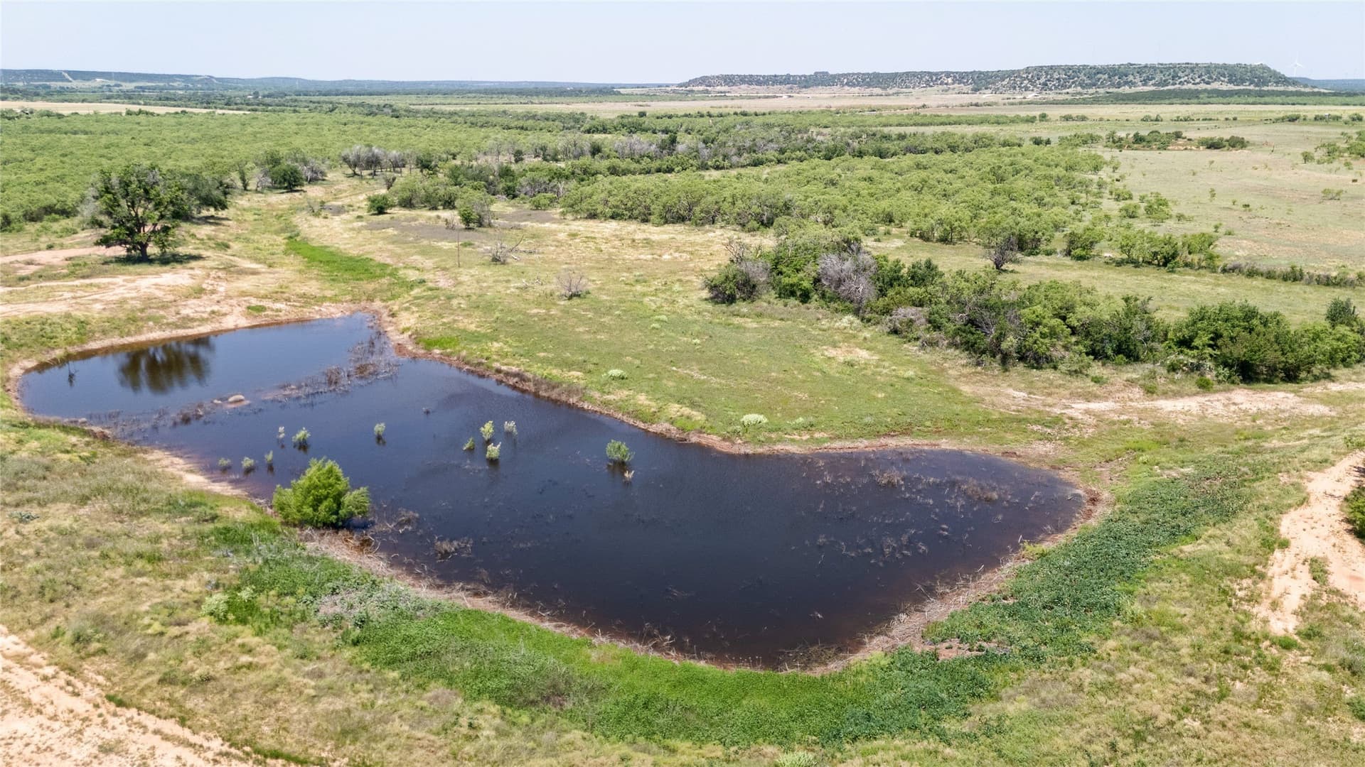 106.15 acres in Taylor County gallery image 3