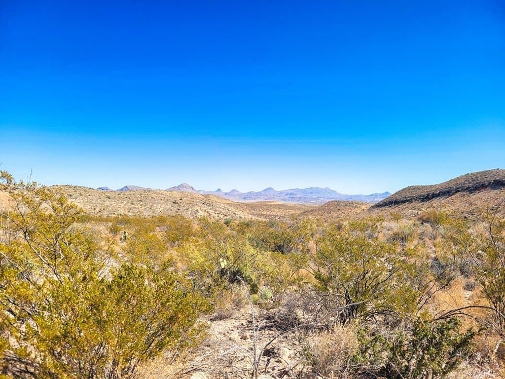 40 acres in Brewster County - photo 15