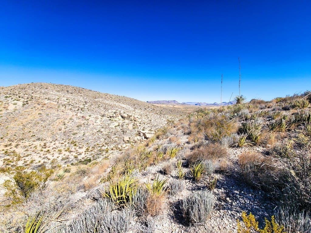 40 acres in Brewster County - photo 11