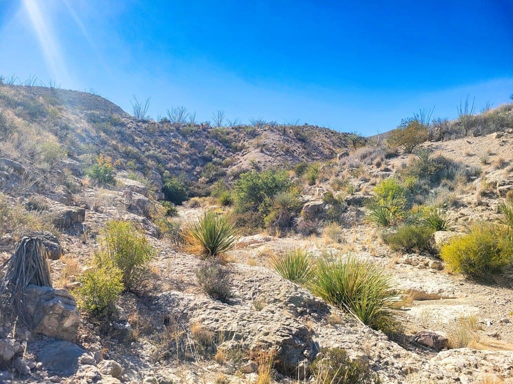 40 acres in Brewster County - photo 38