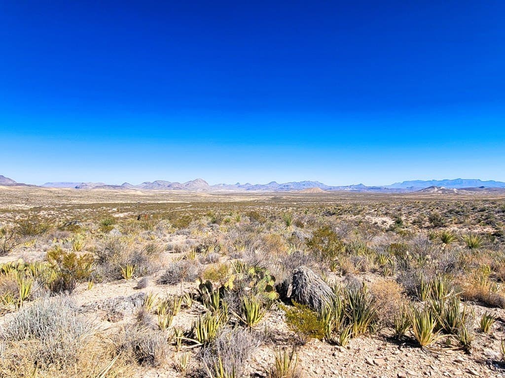 40 acres in Brewster County - photo 19