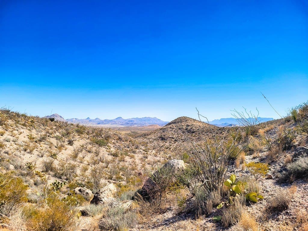 40 acres in Brewster County gallery image 2