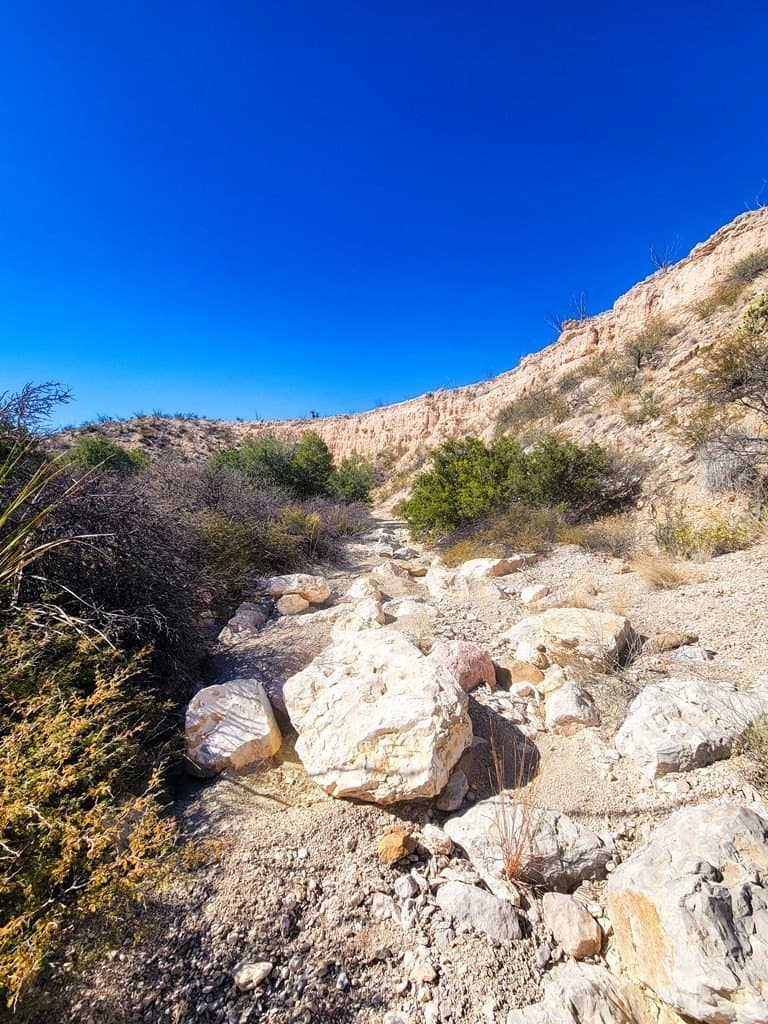 40 acres in Brewster County - photo 35