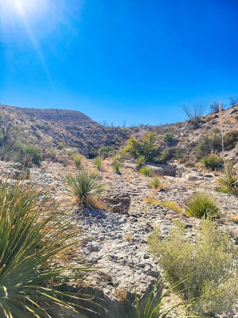 40 acres in Brewster County - photo 37