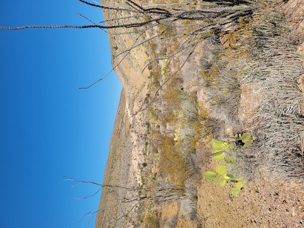 40 acres in Brewster County - photo 43