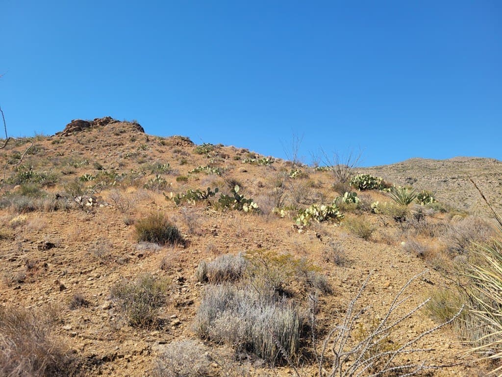 40 acres in Brewster County - photo 44