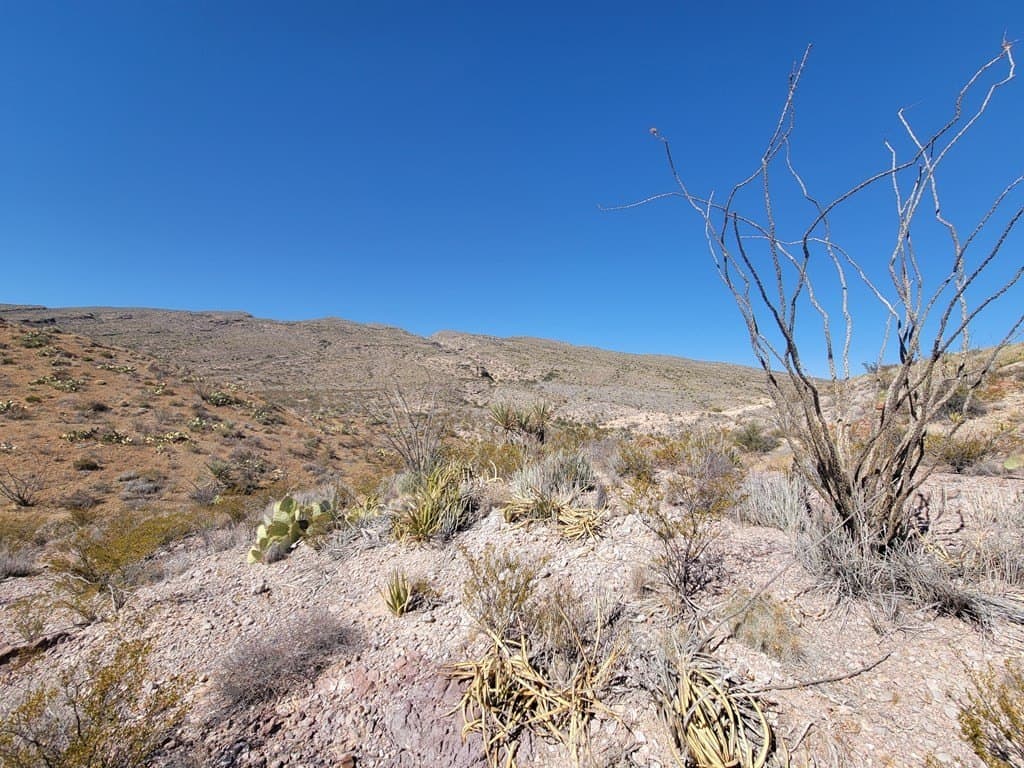 40 acres in Brewster County - photo 48