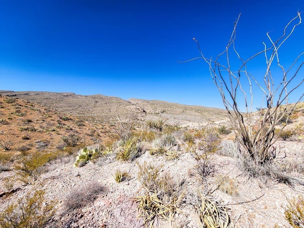 40 acres in Brewster County - photo 10