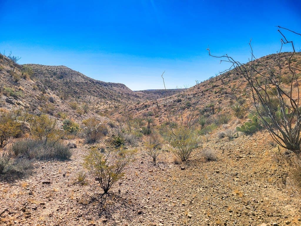 40 acres in Brewster County - photo 6