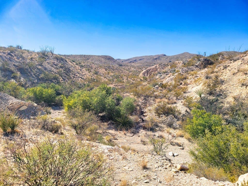 40 acres in Brewster County - photo 24