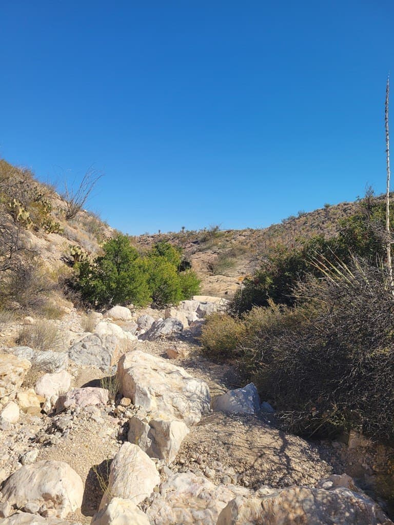 40 acres in Brewster County - photo 41