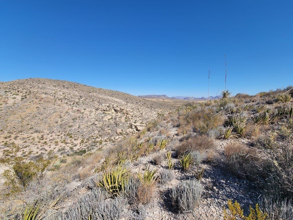40 acres in Brewster County - photo 49