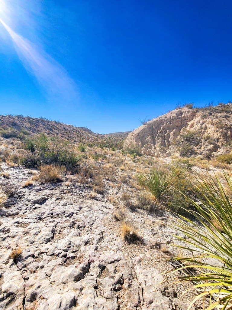 40 acres in Brewster County - photo 29